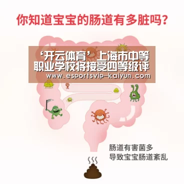 开云赛事